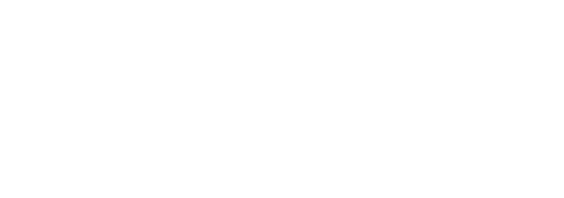 ferybike Logo